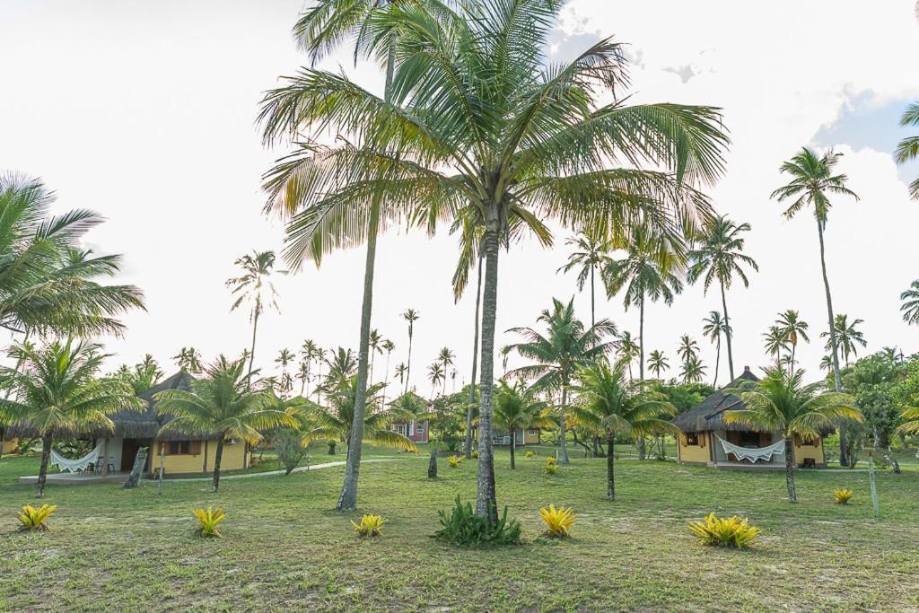 Jocotoka Village - Ponta Do Corumbau Ngoại thất bức ảnh